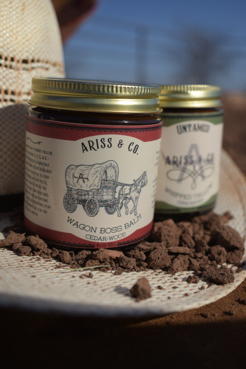 Day Worker Bundle - Repair & Protect